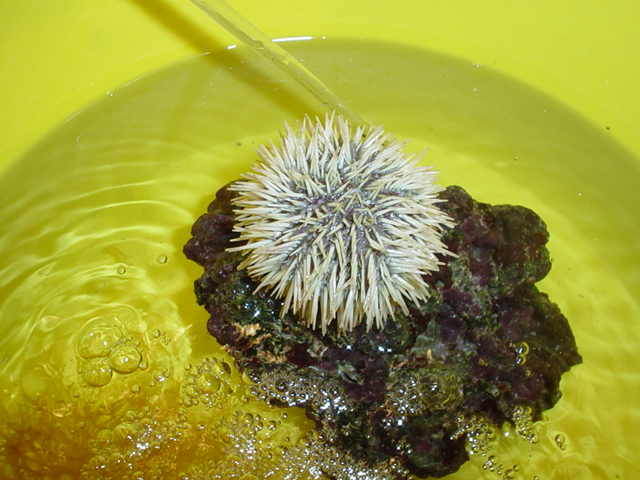 96114DSC01679.JPG.jpg
