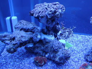 DSC03284.JPG