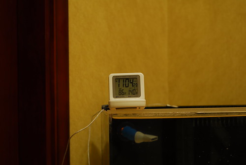 2721984091_66a7a2ace0.jpg