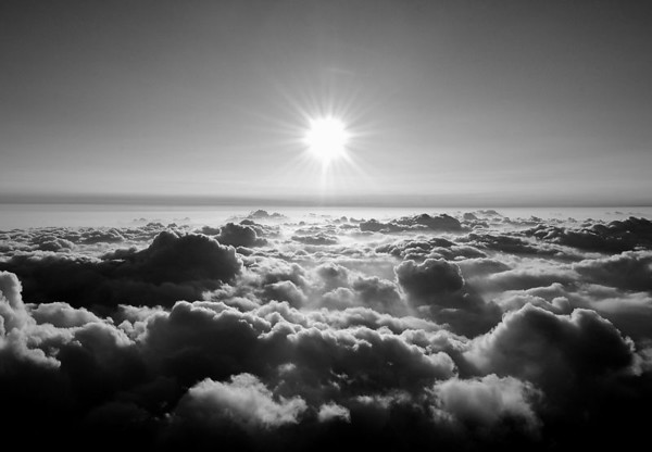 31177527_SydUH-M.jpg