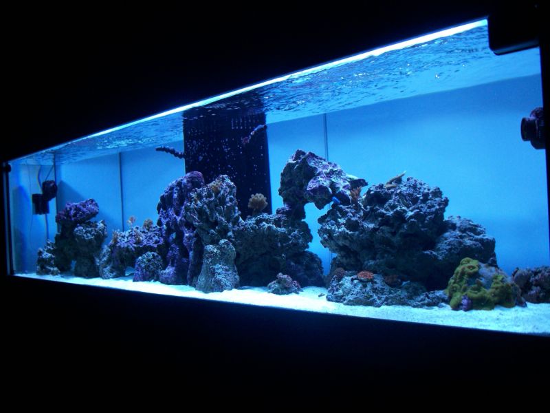 100_8556r.jpg