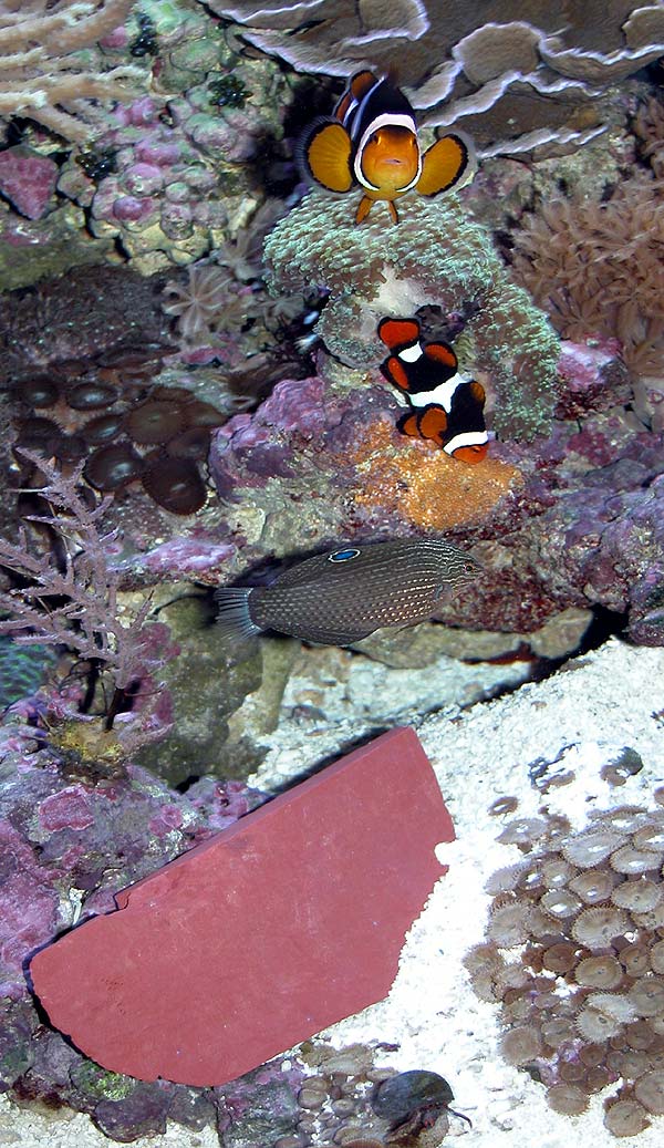 DSCN7721.jpg
