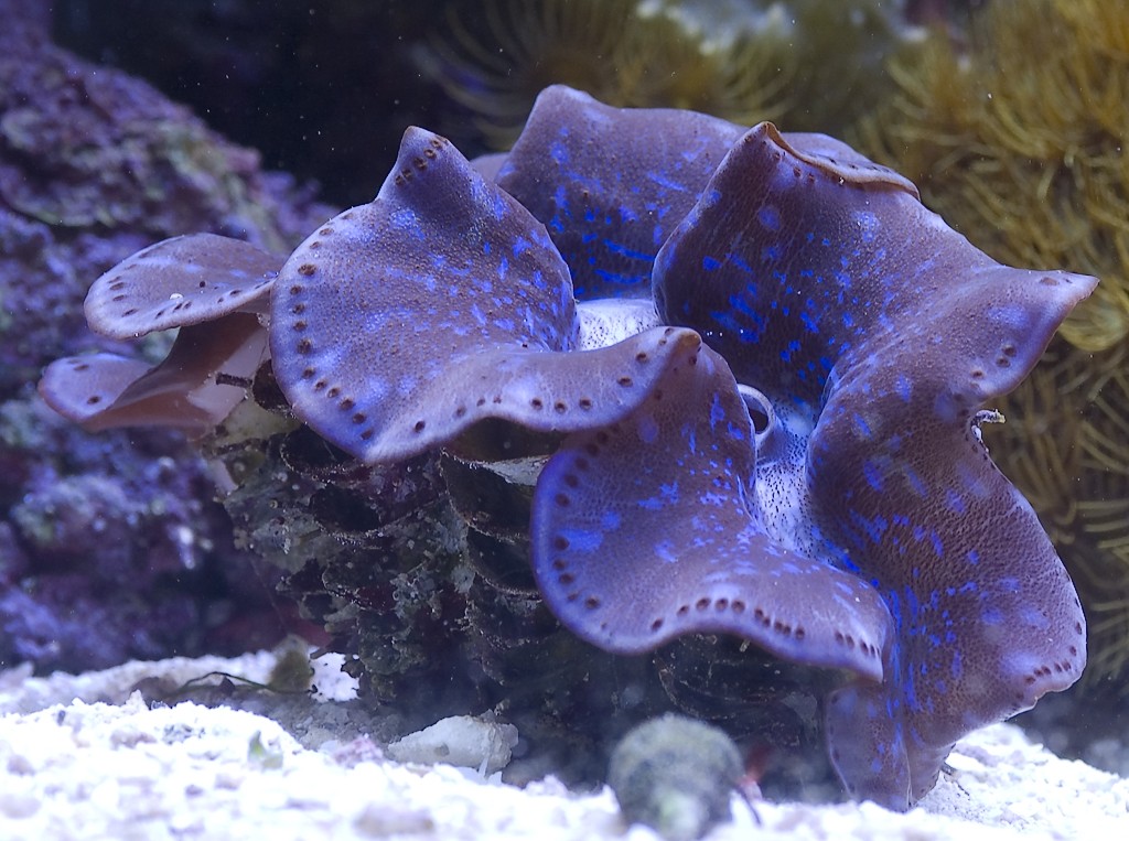 DSC_4516.jpg