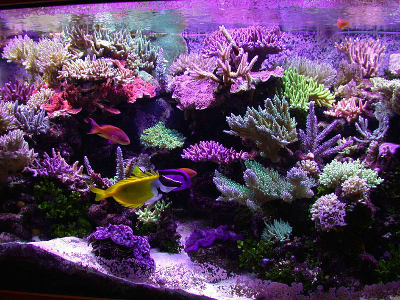 DSCN0868.jpg