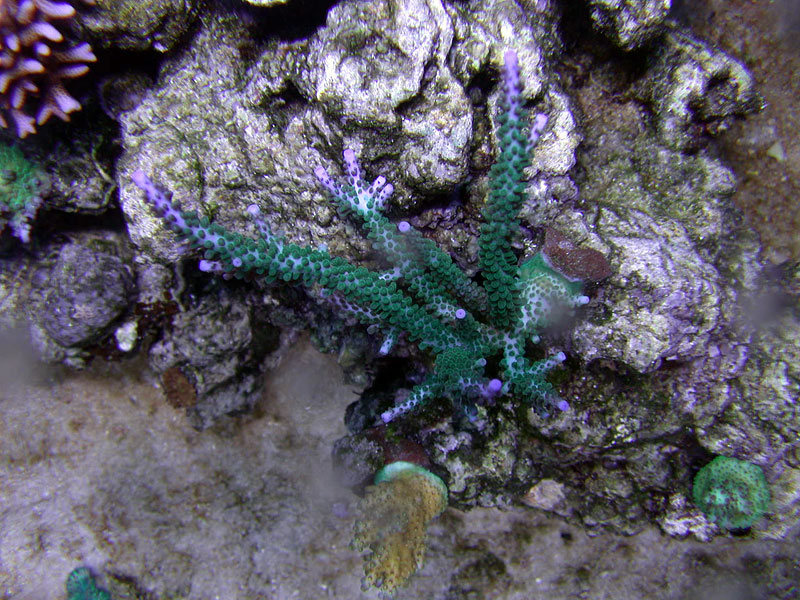 DSCN3527.jpg