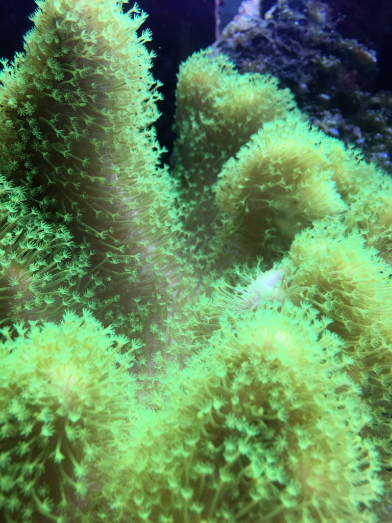 503ae27e991647ed58e4380a7505cee3.jpg