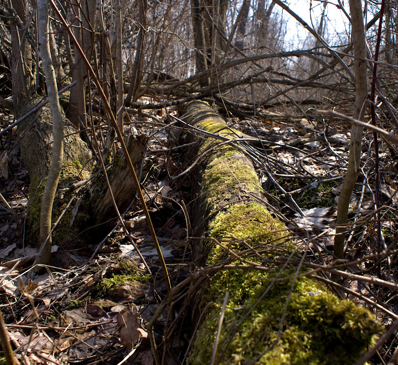 DSC00069.jpg