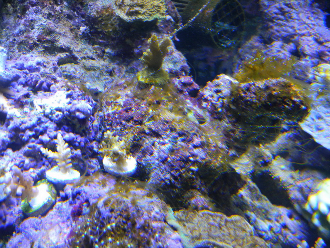 DSCN0954.JPG