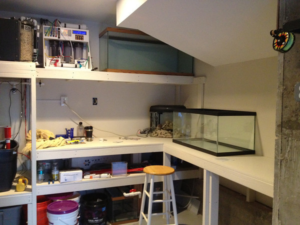 20120617-IMG0425-M.jpg