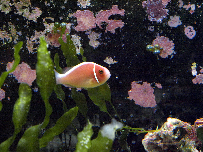 P3060471.JPG