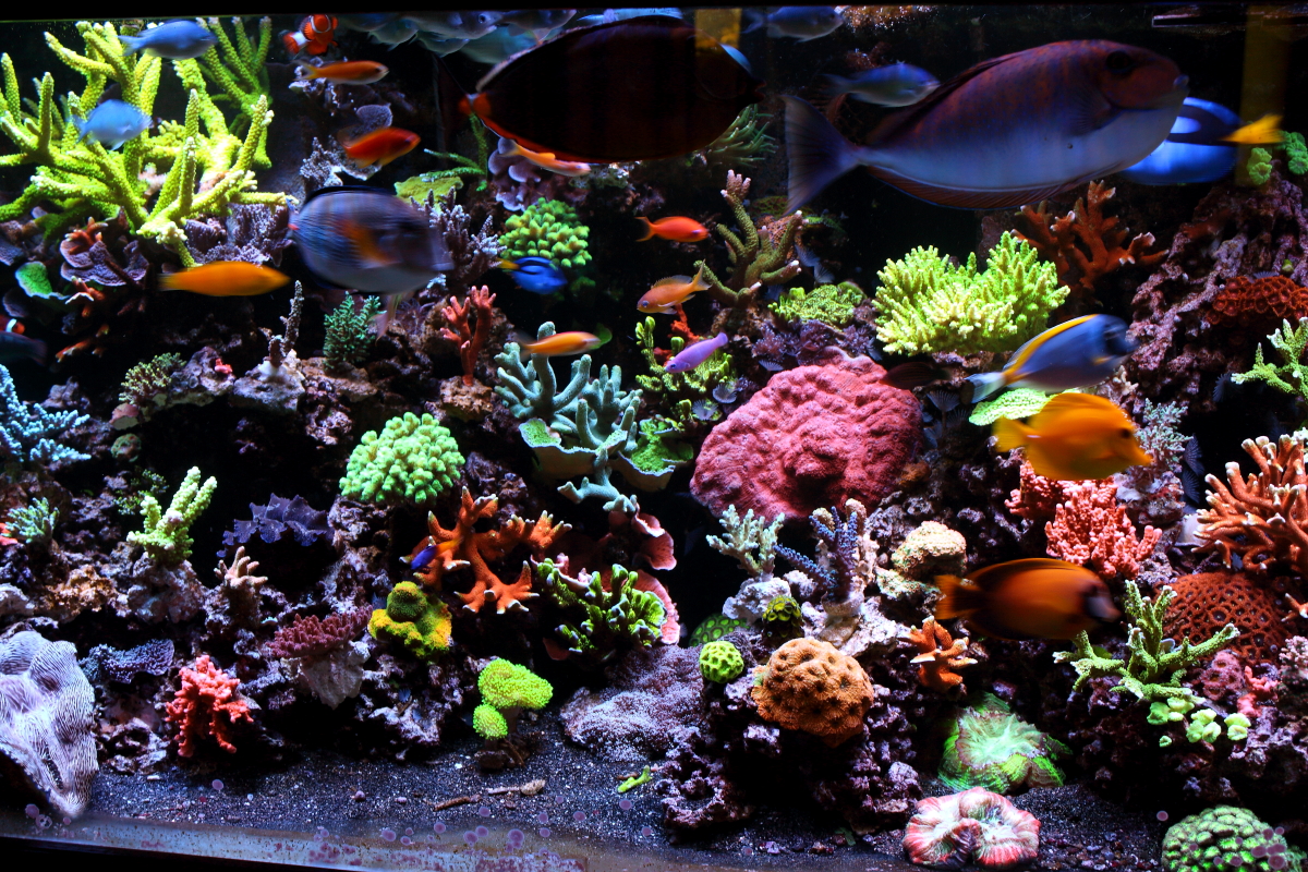 Sept20130027.JPG