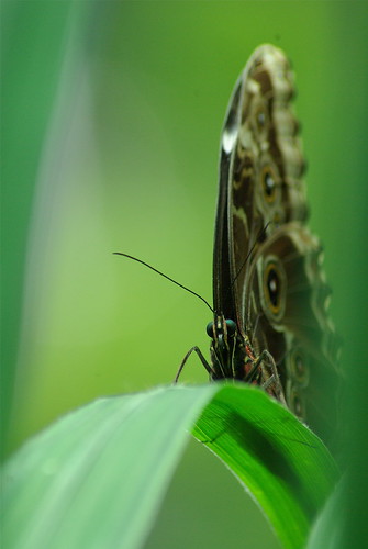 3140737482_4756a3fdd9.jpg