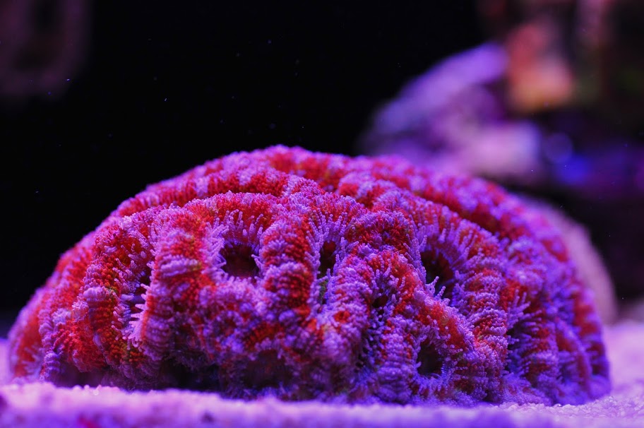 DSC_2976.JPG