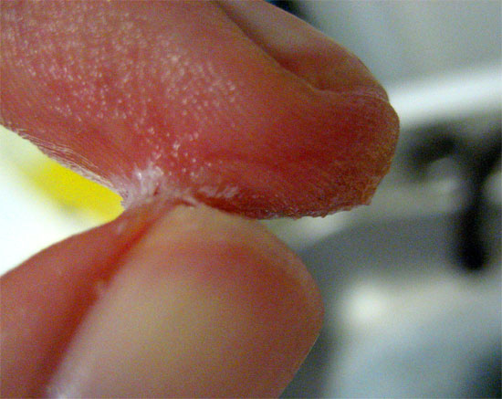 20060918Fingers.jpg