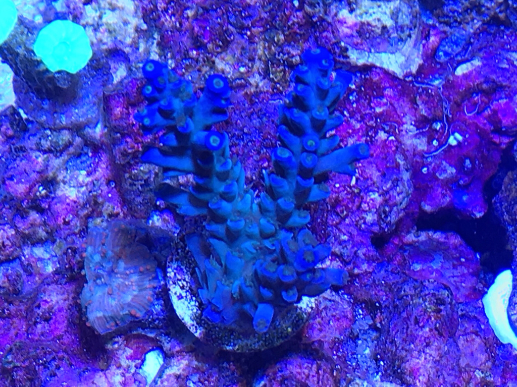 752c2c5444ecbcc55135808d22c19608.jpg