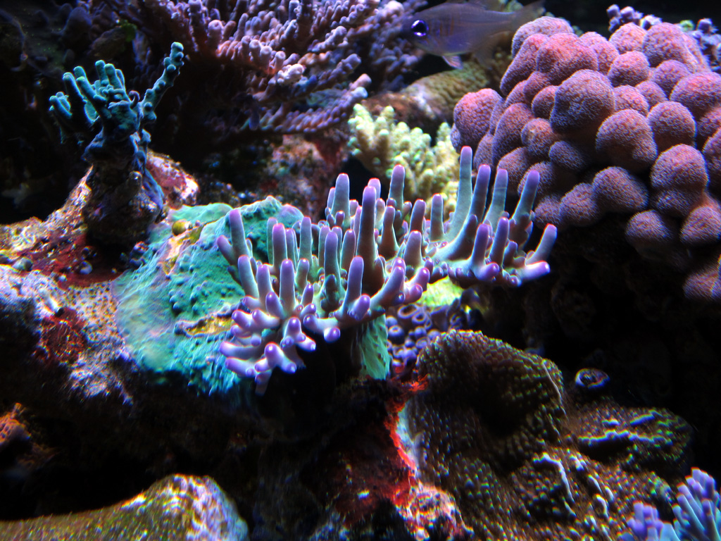 20409156790_6b2a254781_o.jpg