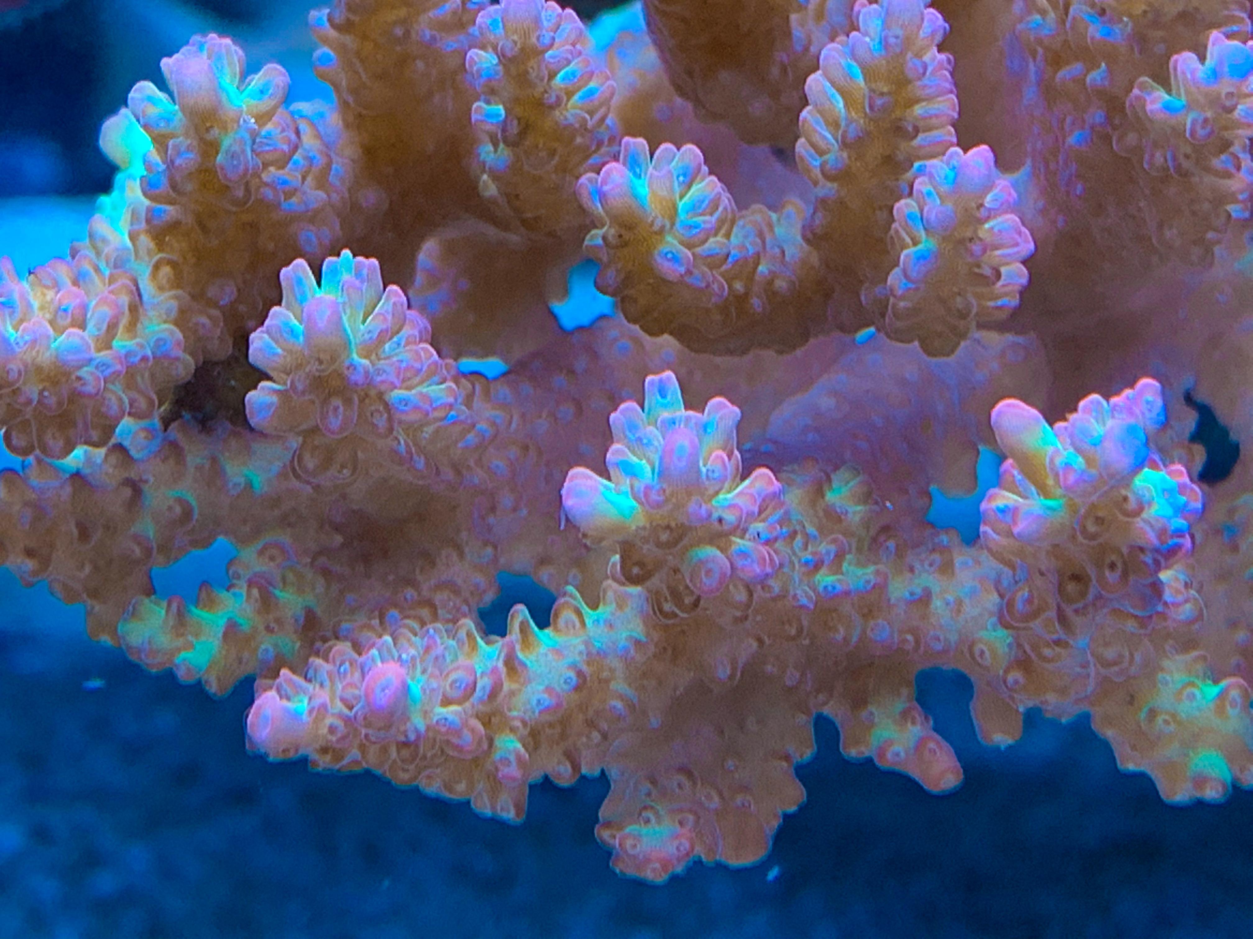 d567e0893dd949c8ed0f7bb0b98e6ee7.jpeg
