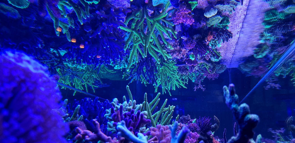9a9657158e924e319f65182a6c17891a.jpg