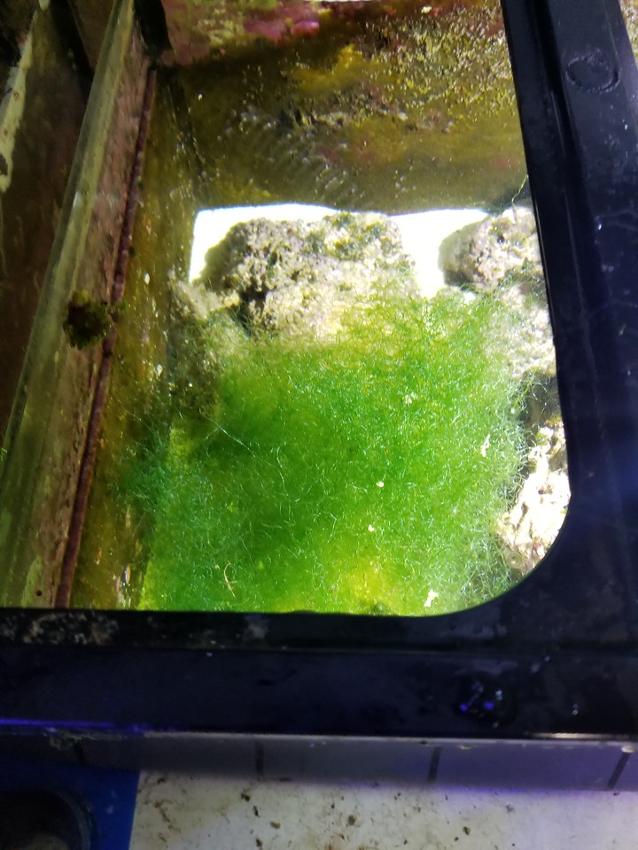 20170427_215910-X2.jpg