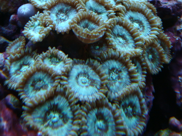 3595959785_b3303d50e0_o.jpg