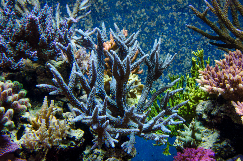 DSC_3733.jpg