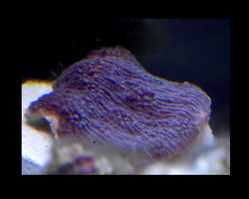 3517007021_a6feba4665.jpg