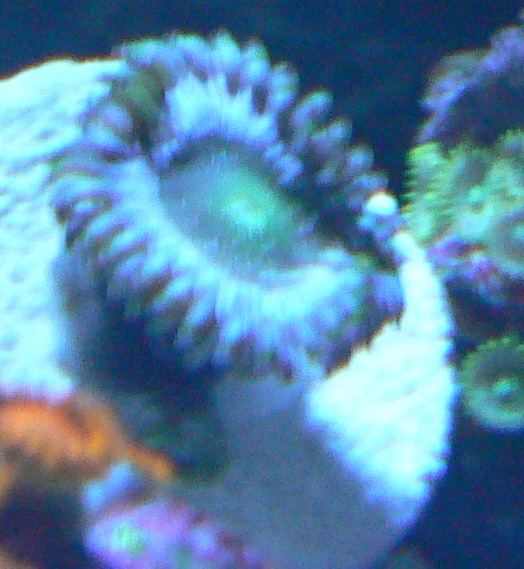 P1000670.JPG