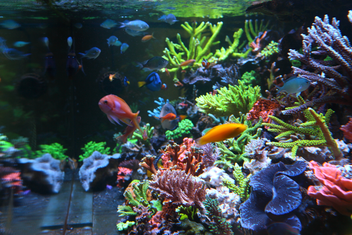 Sept20130029.JPG