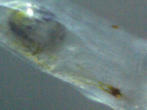 GBG_324_4.jpg