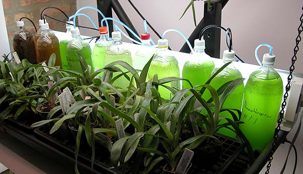 DSCN2977_phyto_station.jpg