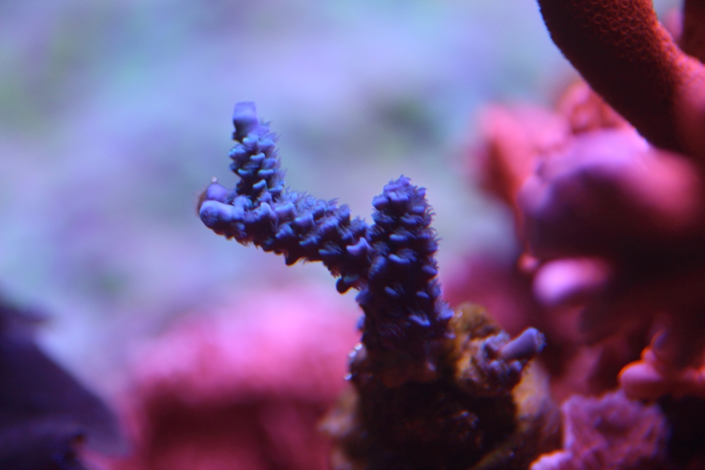 Nov2013M0007.JPG