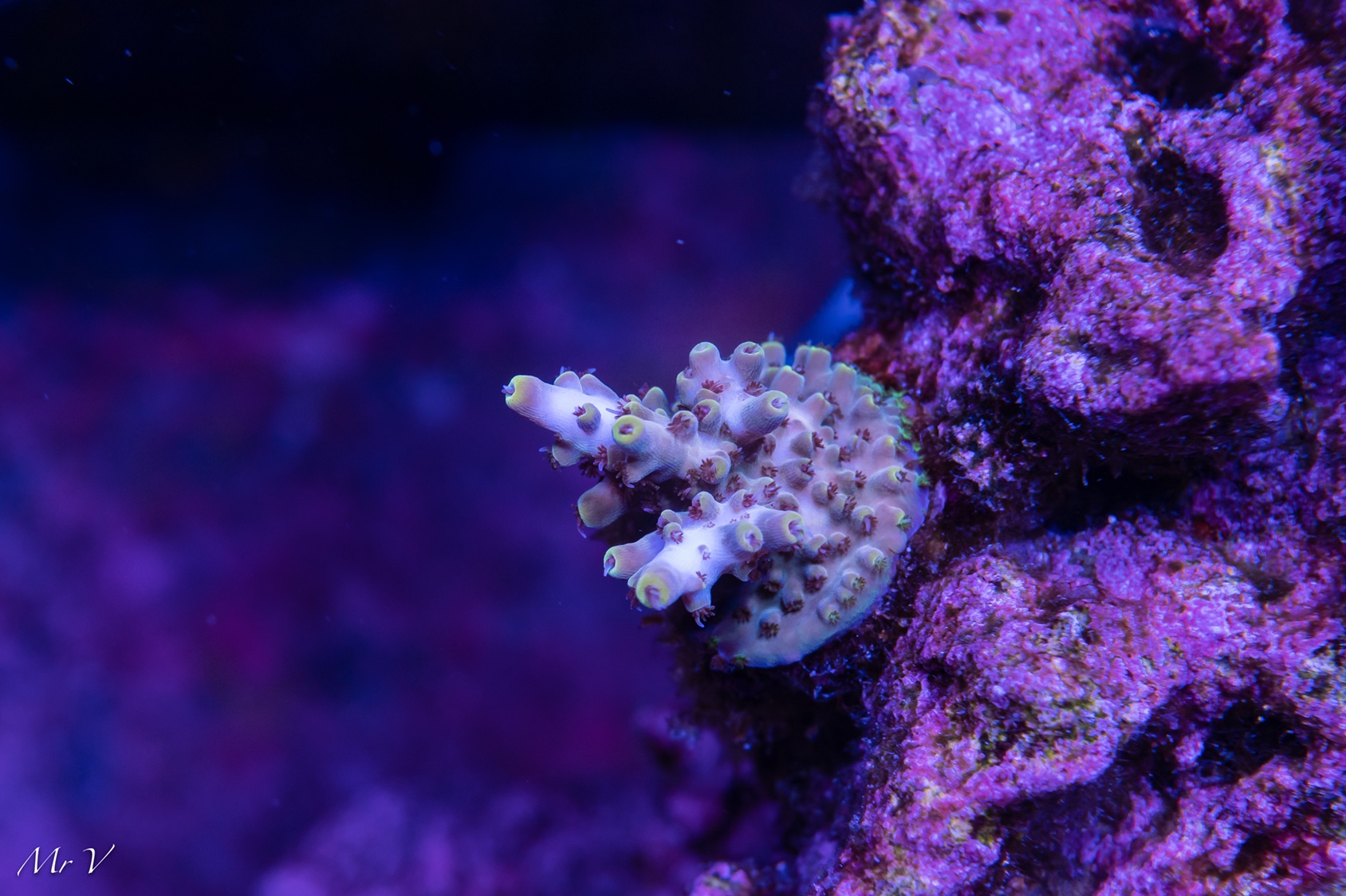 d620eed811c0c03be71f84c831e236d9.jpg