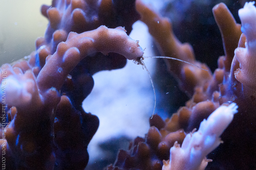 20120707-_DSC8348.jpg
