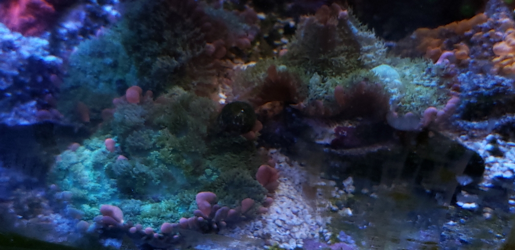 c58577a9c3b3411df076784b8595f883.jpg