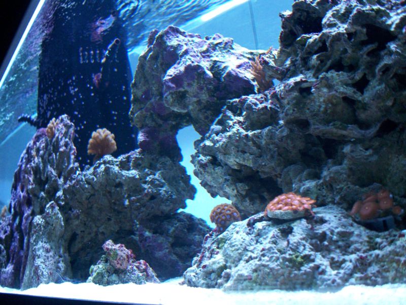 100_8559r.jpg