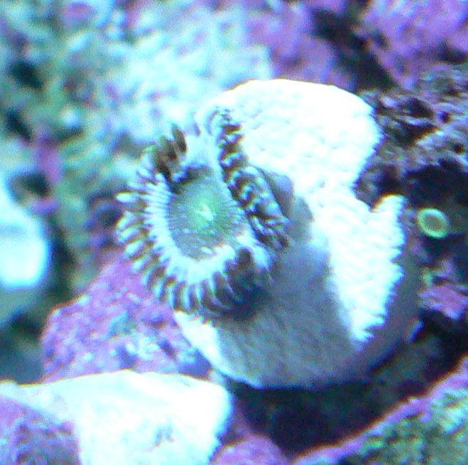 P1000667.JPG