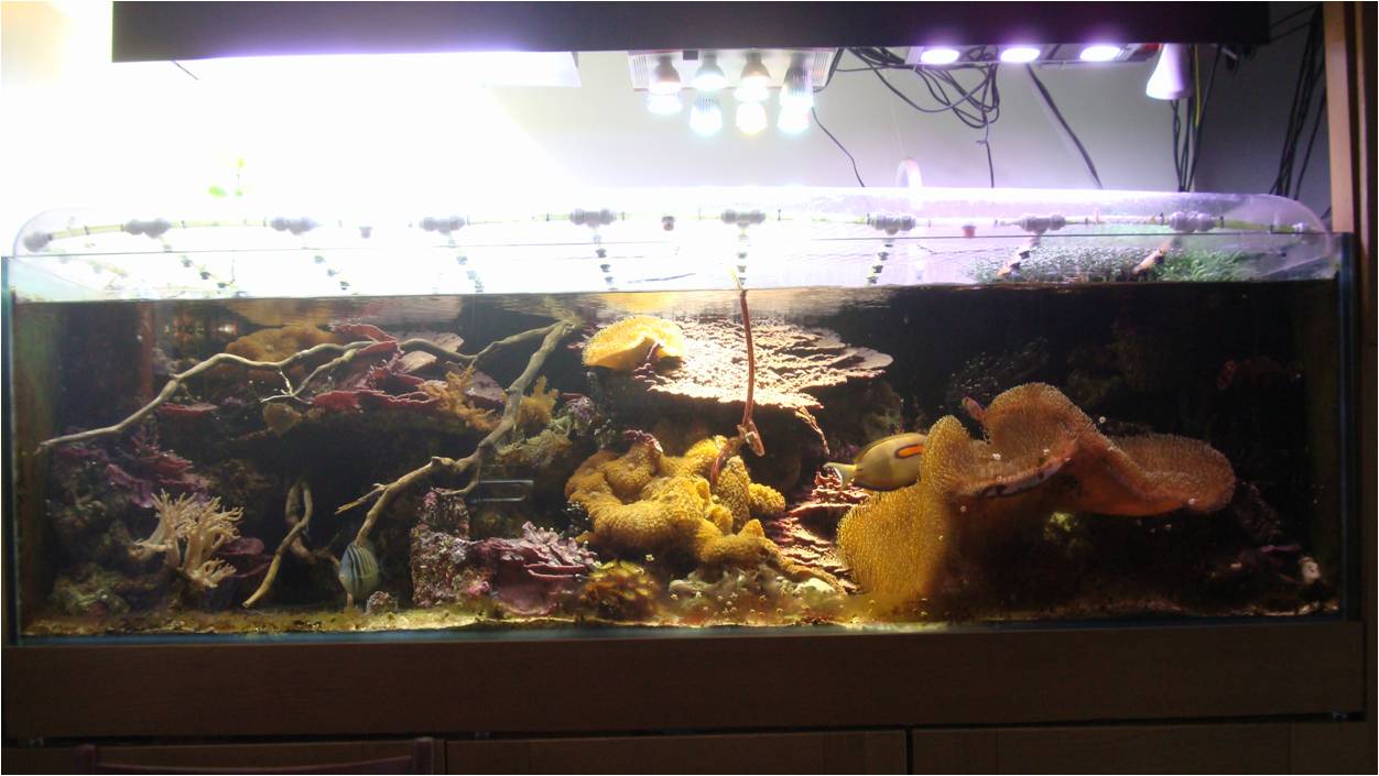 FTS-small.jpg