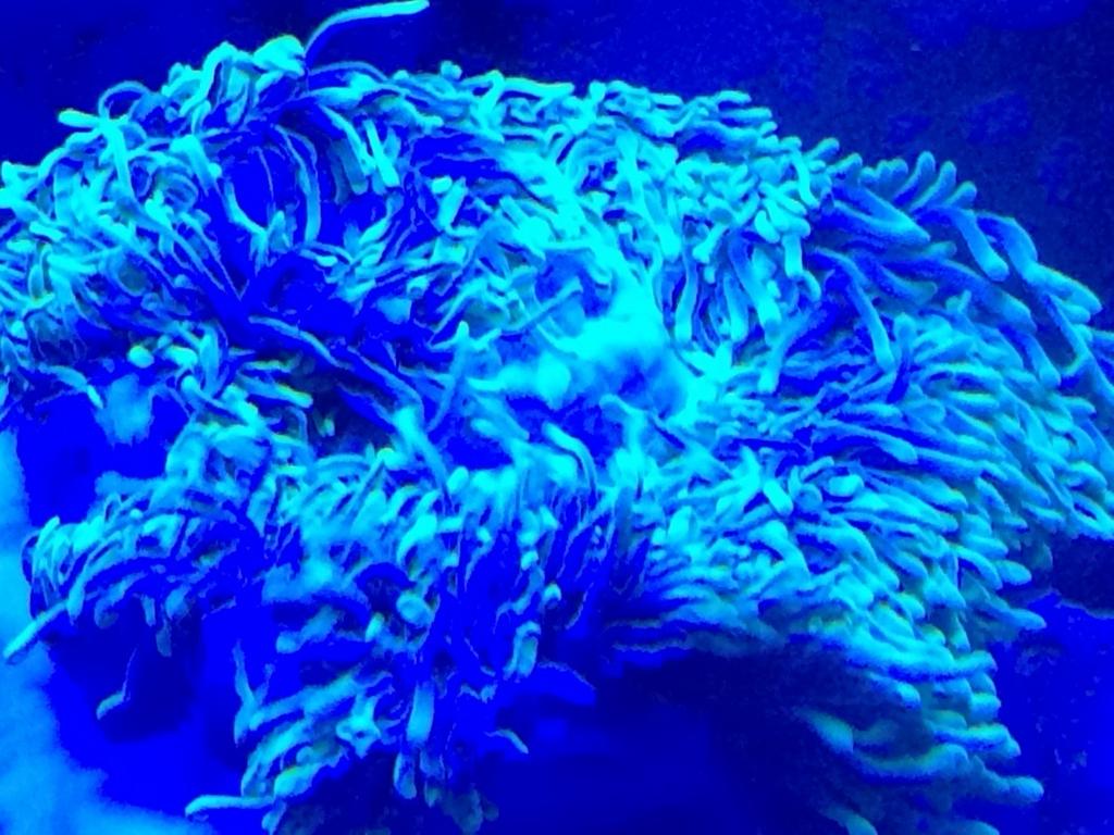 BuzZUtYIYAAS42m.jpg:large