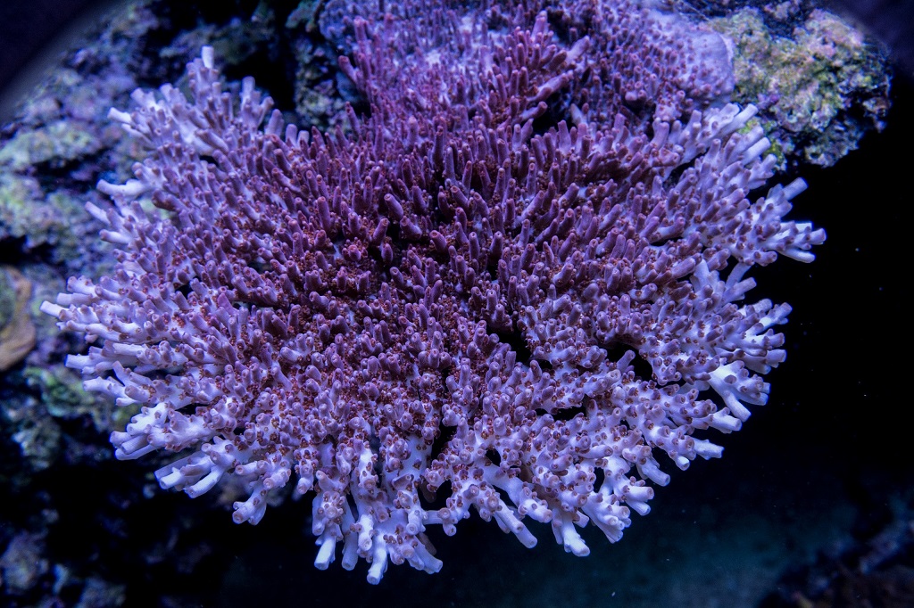 _D712111.jpg