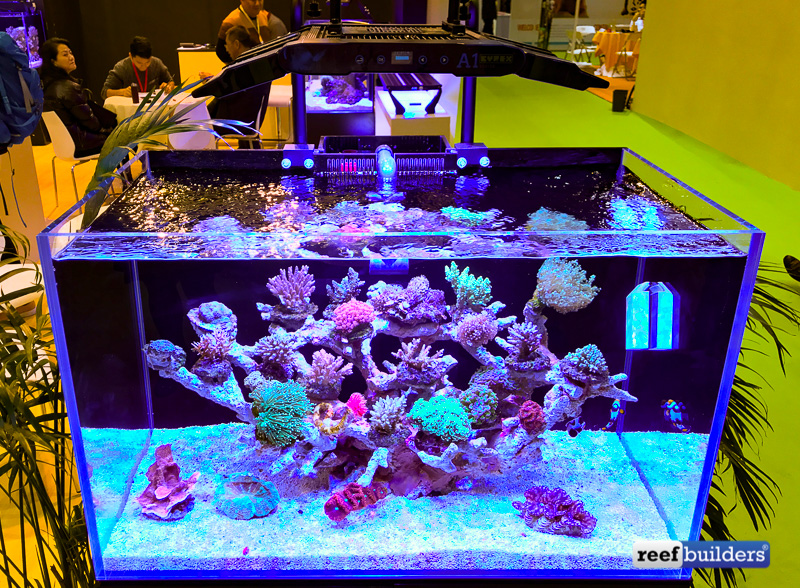 reefbuilders.com