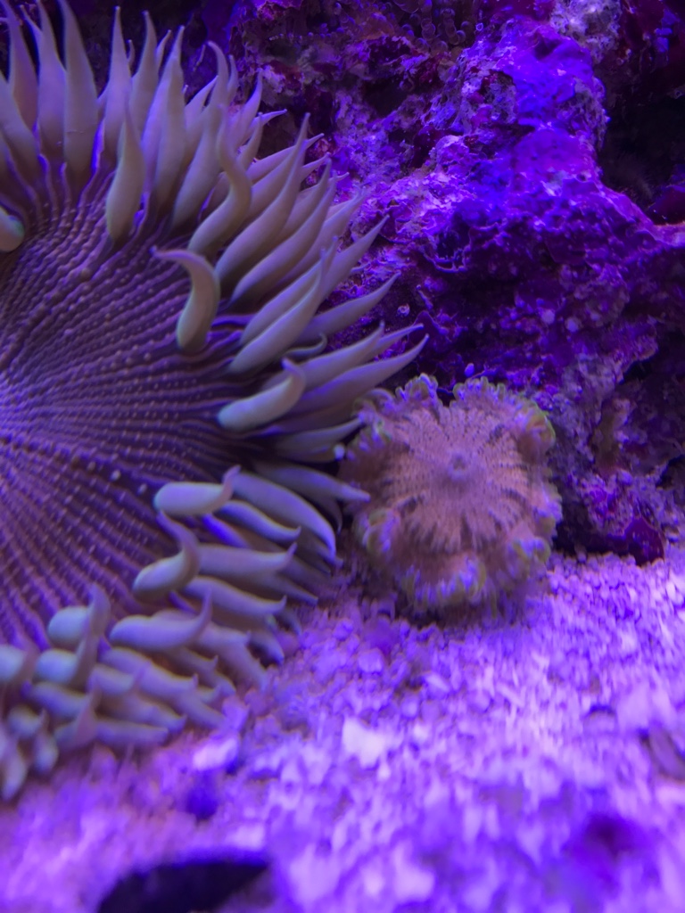 d28b7e6ba9b2f13889637784ef02c727.jpg