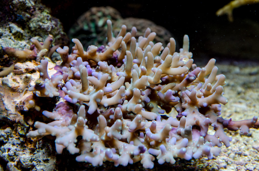 DSC_3730.jpg