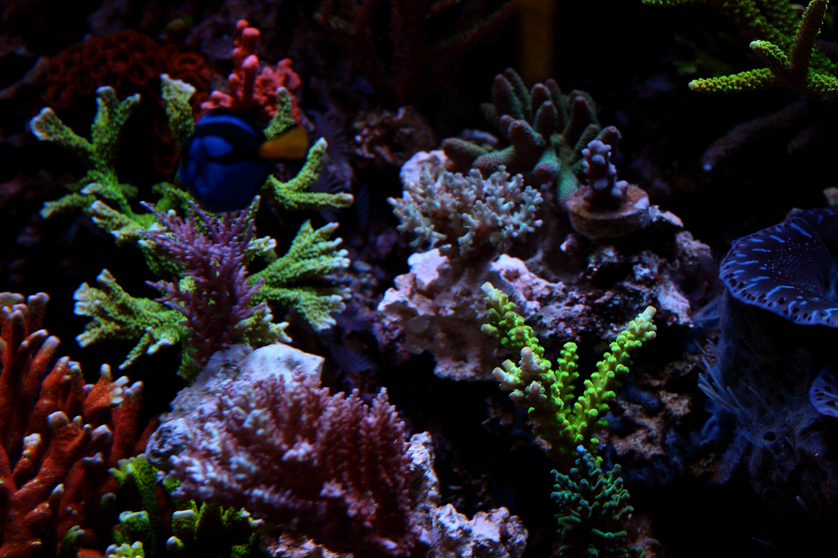 Sept20130013.JPG