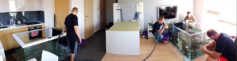 gallery_7670_3935_47831.jpg