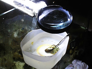 P1010007.JPG