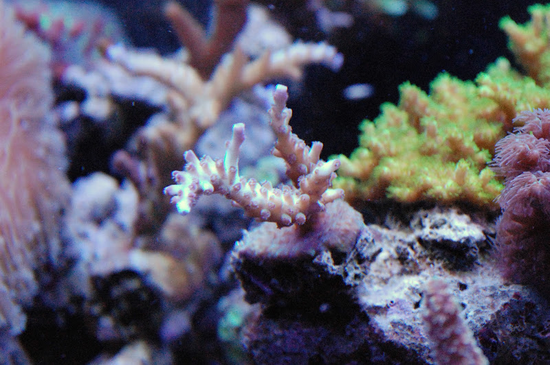 DSC_8713.JPG