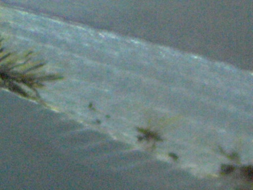 GBG_324_5.jpg