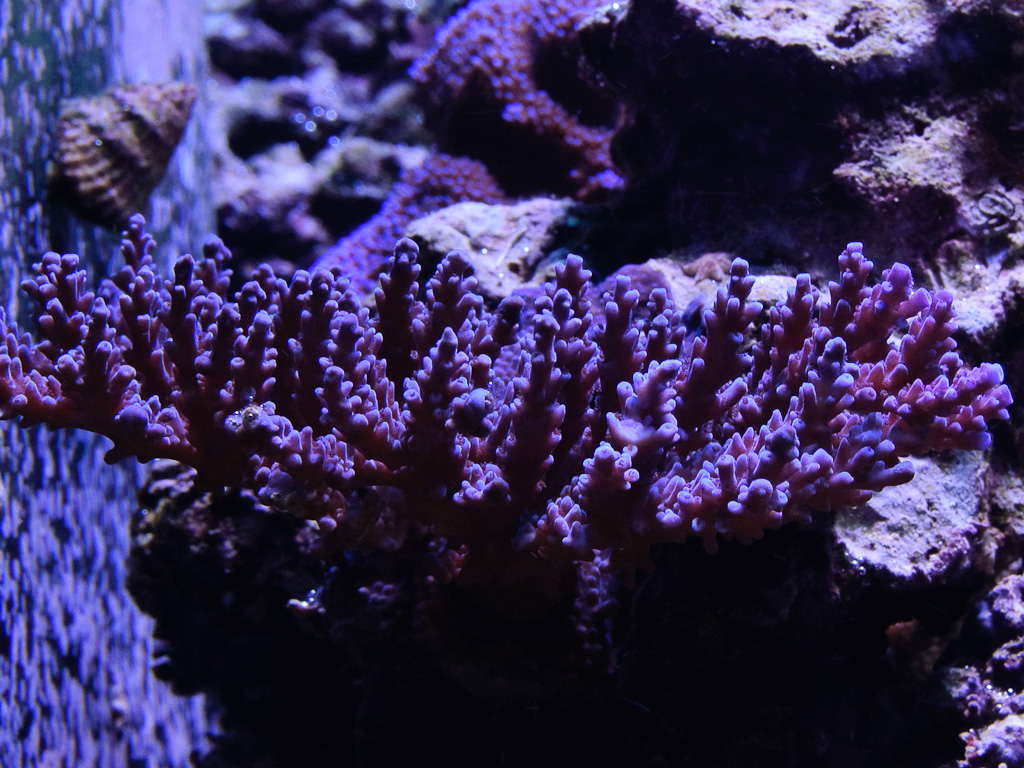 DSC_1821.jpg