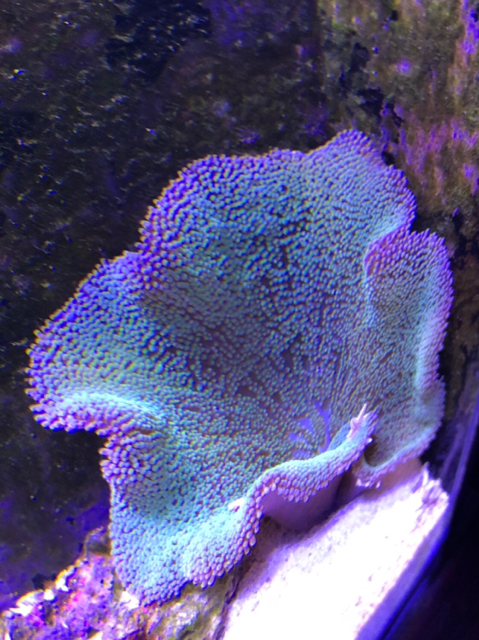 8d25edec001eeaf377c209d101fed0f1.jpg