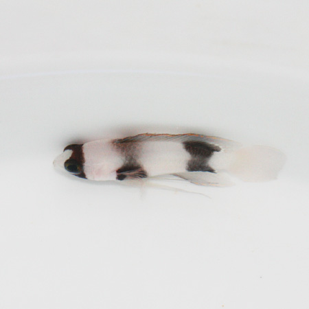 201002%2F18%2F58%2Fc0165758%5F1204745%2Ejpg